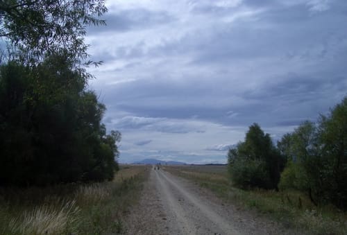 IMGP7736