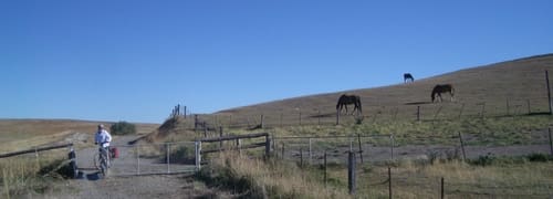 IMGP7749