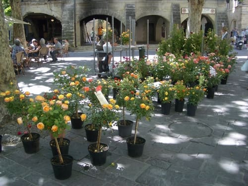 019_Uzes_market