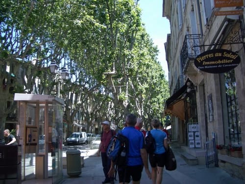 025_Uzes_looking_for_lunch