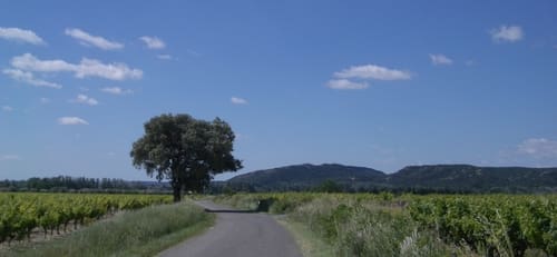 129_on_the_road_to_Remoulins