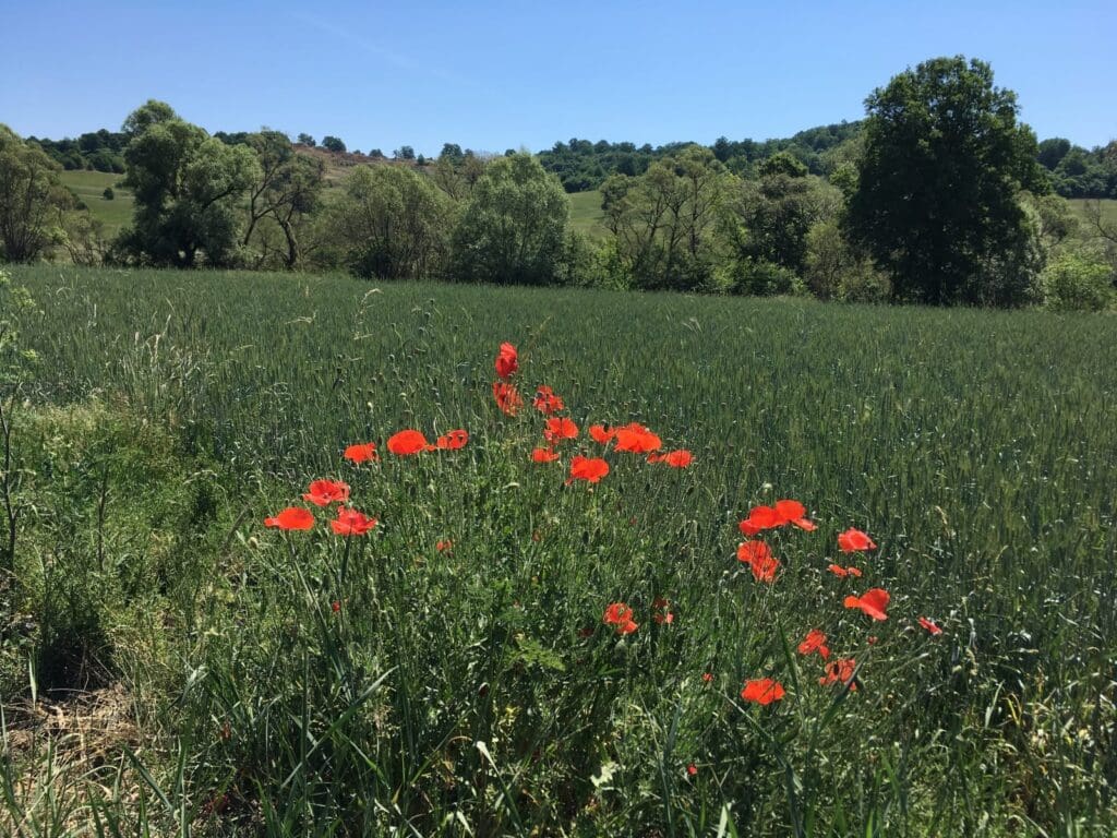 20180531_090340636_iOS