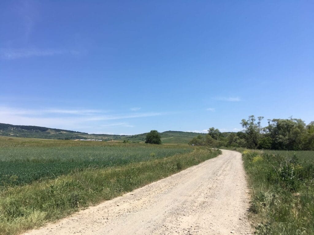 20180531_090358845_iOS