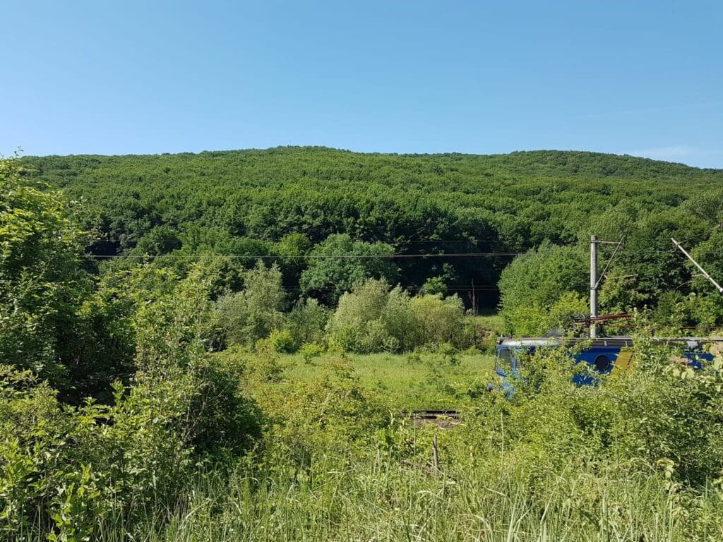 20180531_103908
