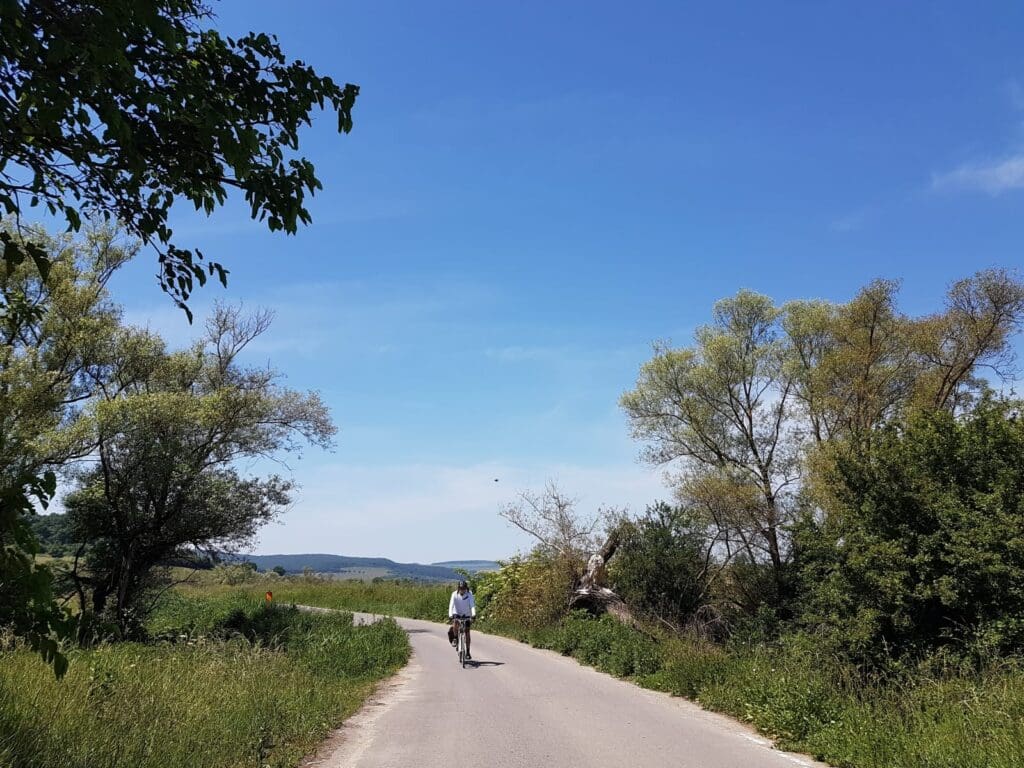20180531_120736