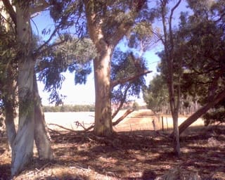 Rest_stop