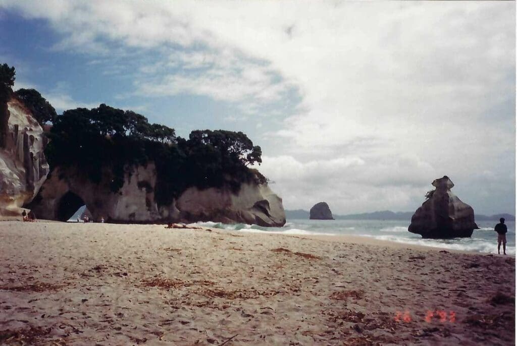 Scan044