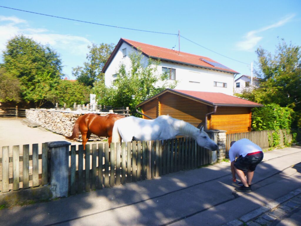 P1010232
